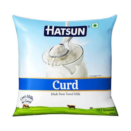 Hatsun Curd 500g