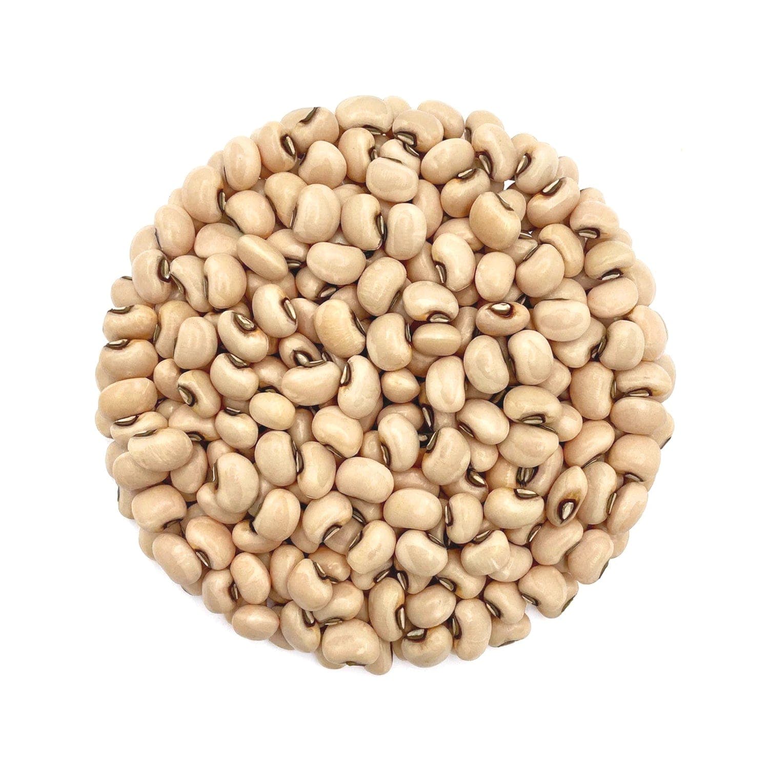 Lobia Dal